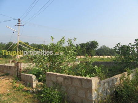 45 Ankanams West Facing Plot for Sale in Vidyanagar Colony, Tirupati